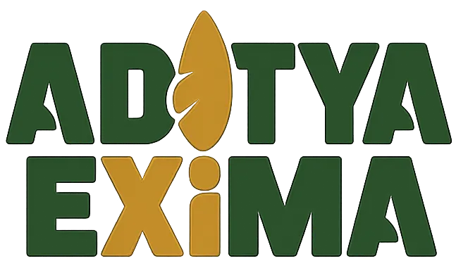Aditya Exima Logo